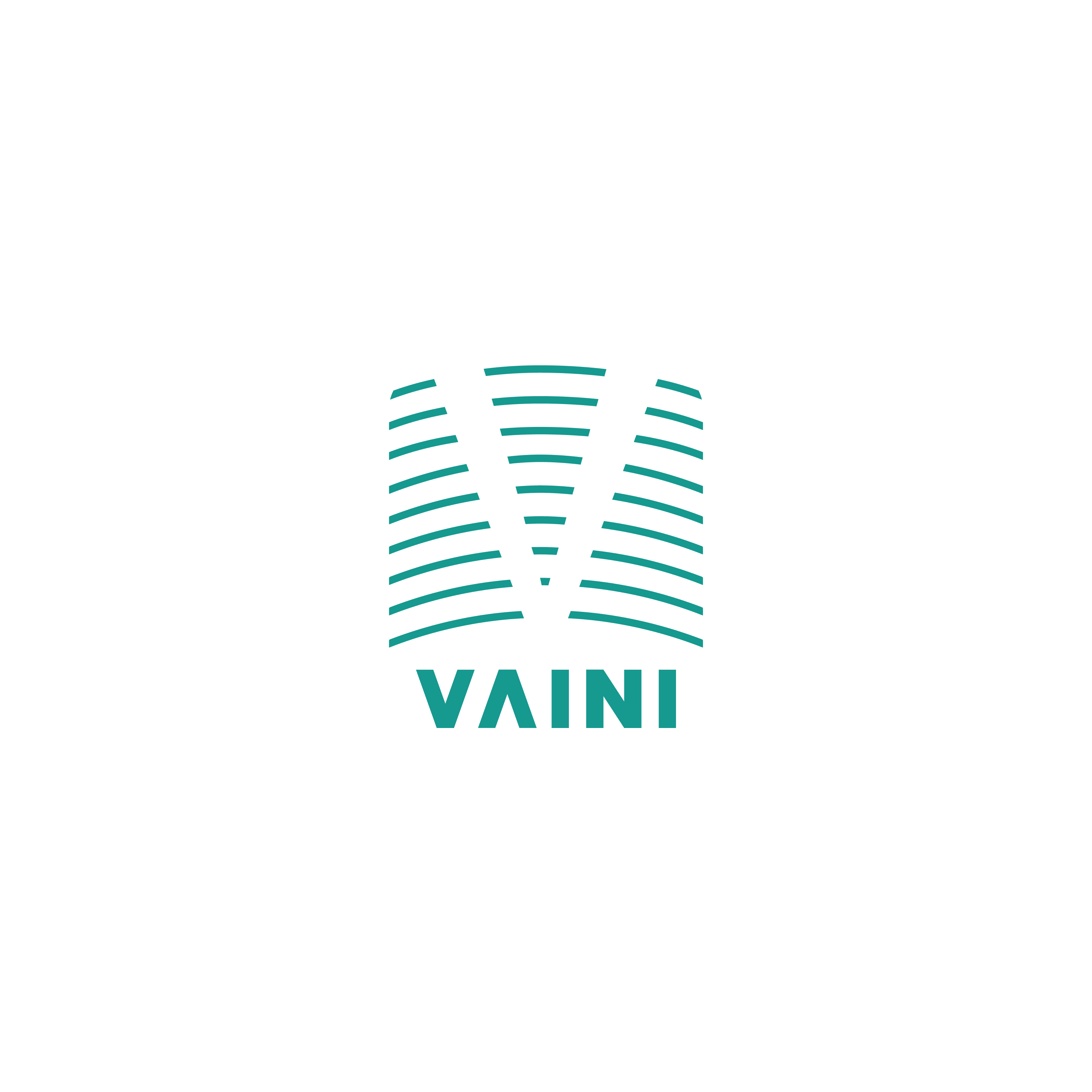 VAINI Logo Teal